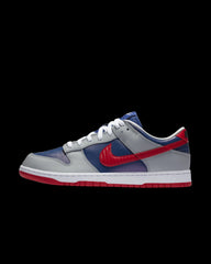 Nike Dunk Low Co.JP Samba (2020)